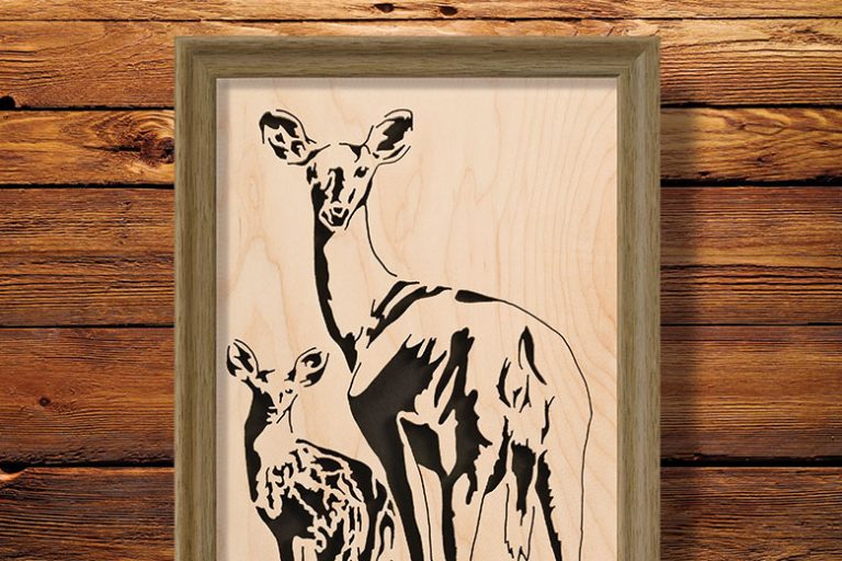 “Looking Back” Deer Portrait